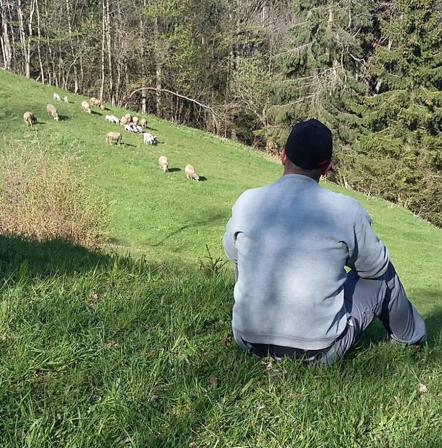 Landschaft und Hof von Ochis Biobauernhof